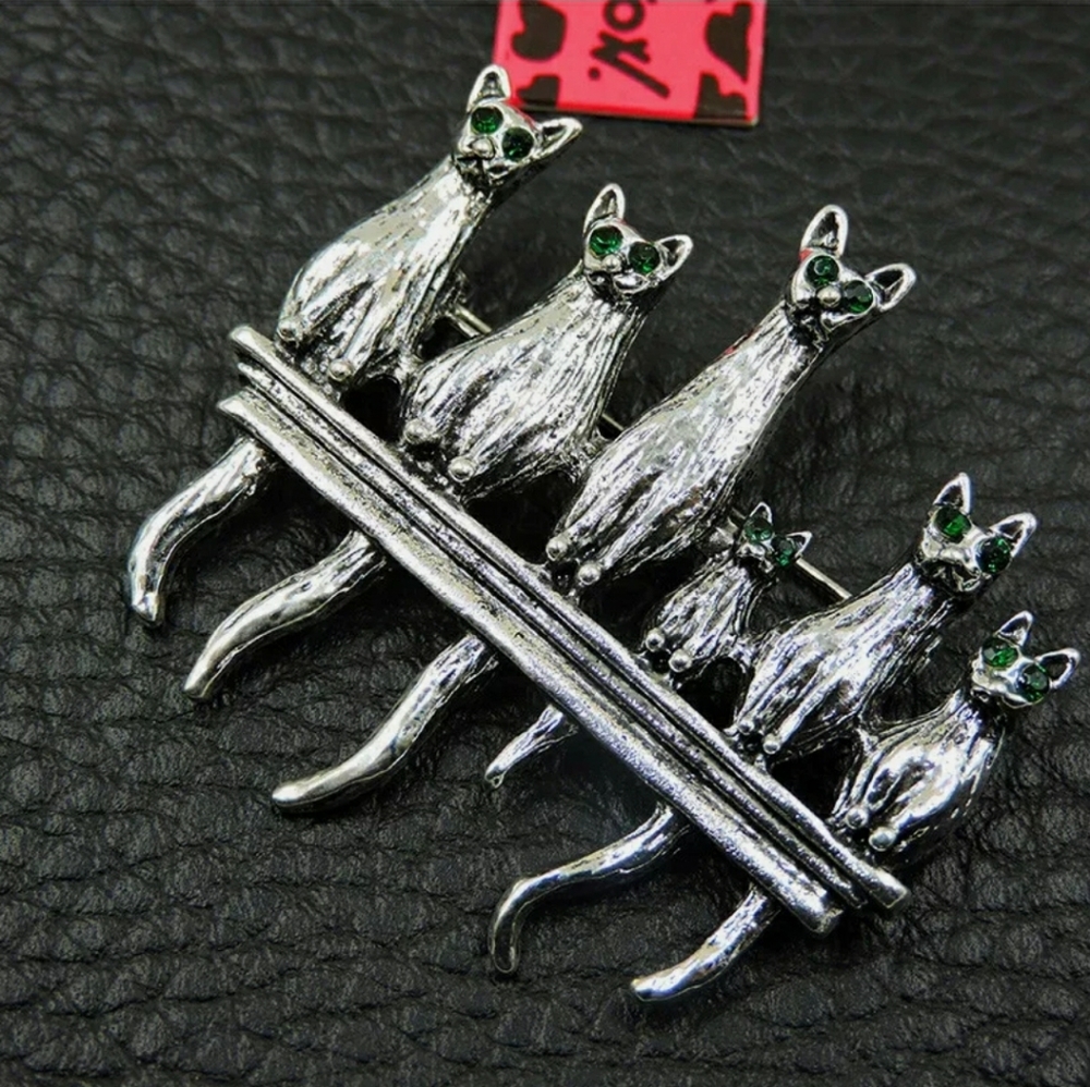 Brand new Betsey Johnson Brooch